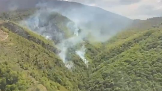 Incendiu puternic de vegetație în Slatina-Timiș: intervenție dificilă pe teren accidentat