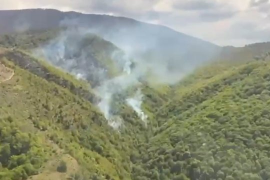 Incendiu puternic de vegetație în Slatina-Timiș: intervenție dificilă pe teren accidentat