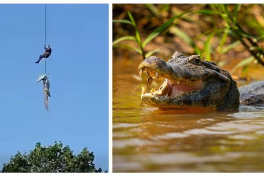 Operațiune rară într-un râu plin de crocodili din Africa de Sud. Poliția a recuperat rămășițe umane după o intervenție aeriană