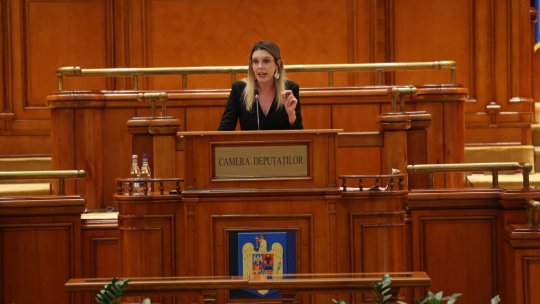 Declarații dure în Parlament despre efectele crizei politice. Diana Buzoianu critică inițiatorii moțiunii de cenzură