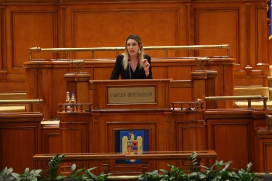 Declarații dure în Parlament despre efectele crizei politice. Diana Buzoianu critică inițiatorii moțiunii de cenzură