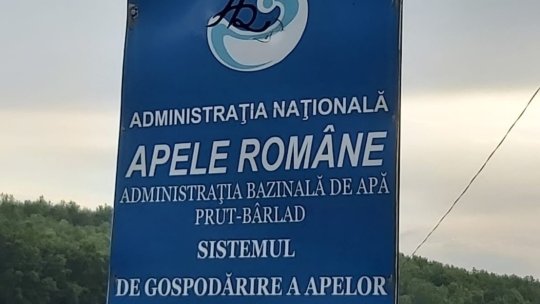 ”Animalul politic” de la Apele Române a fost condamnat la închisoare, pentru că a trimis utilaje și muncitori la o fermă a familiei lui Costel Alexe