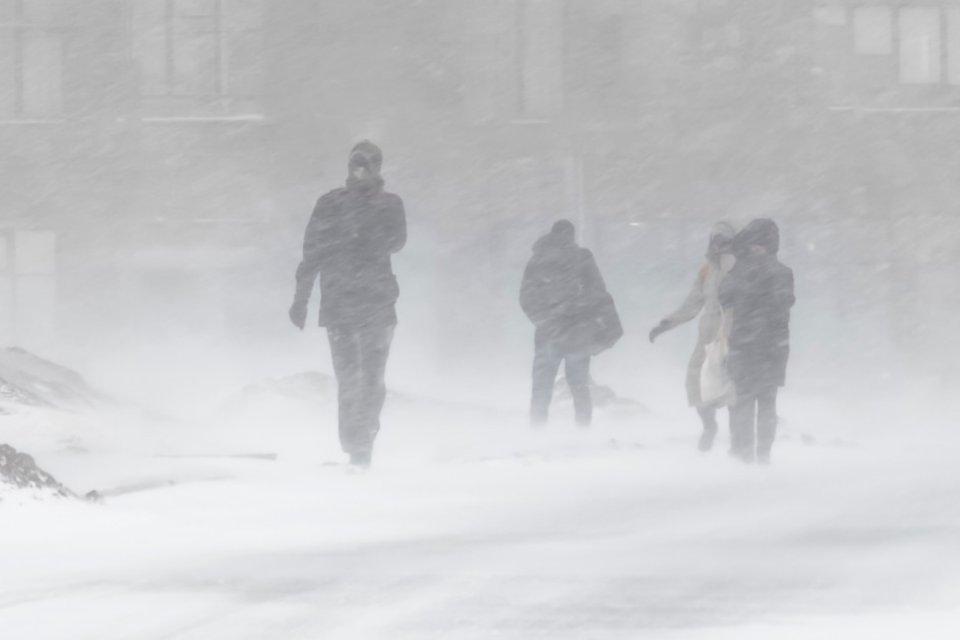 Ninsori și ger în toată țara